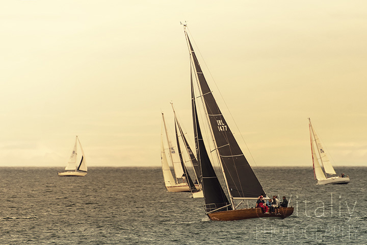 Group of sailboats in line at club regatta.
